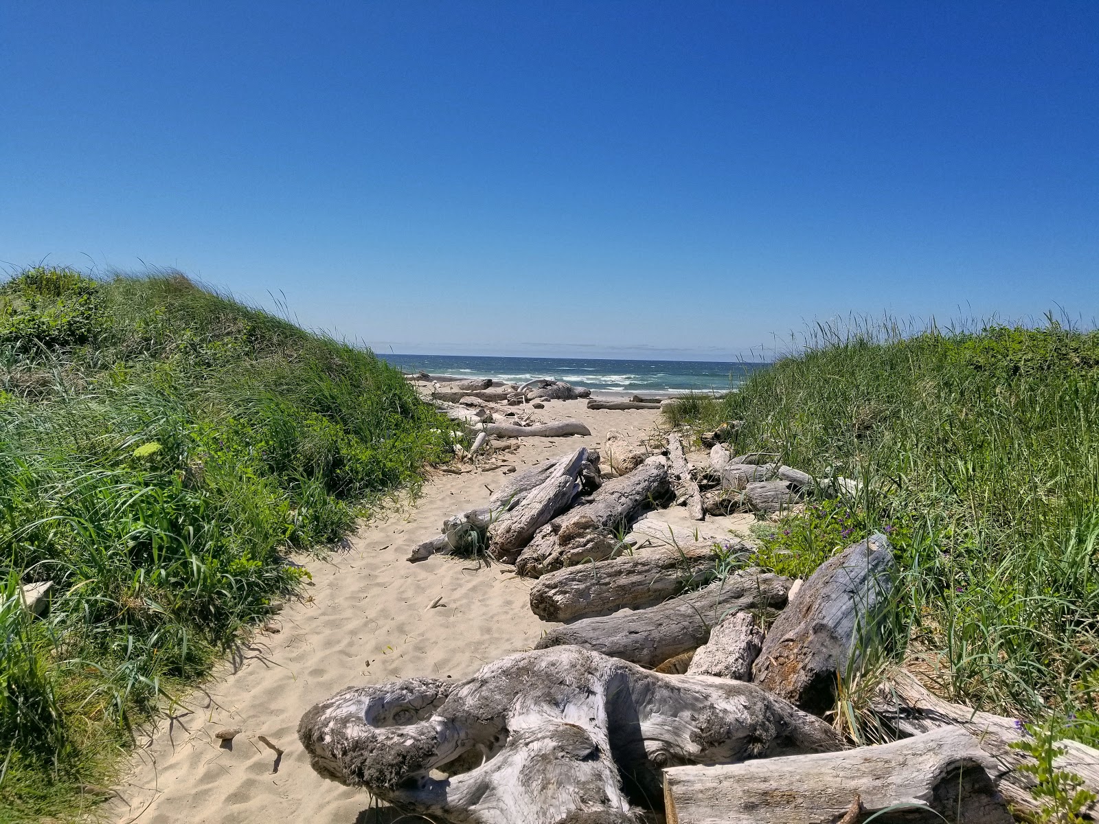 Stonefield Beach'in fotoğrafı vahşi alan