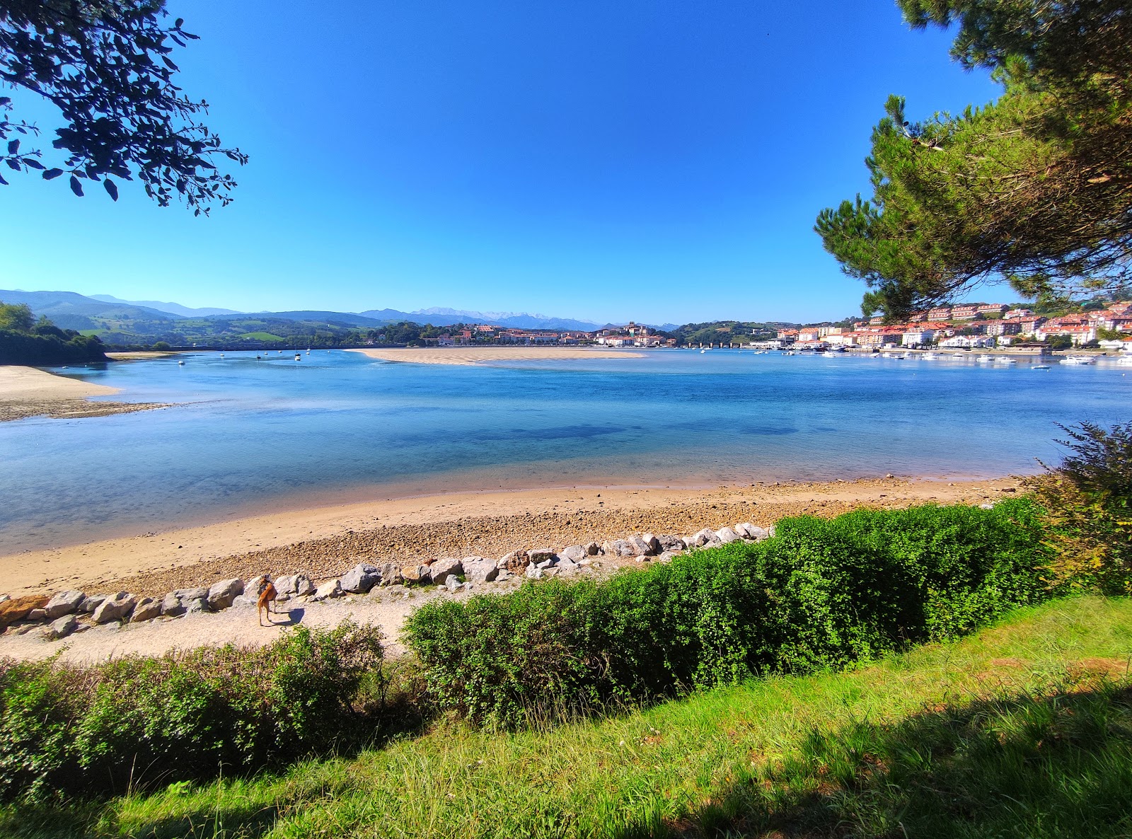 Playa del Puntal'in fotoğrafı çok temiz temizlik seviyesi ile