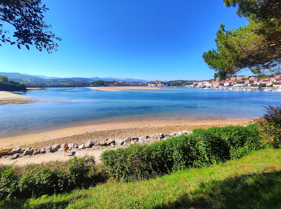 Playa del Puntal