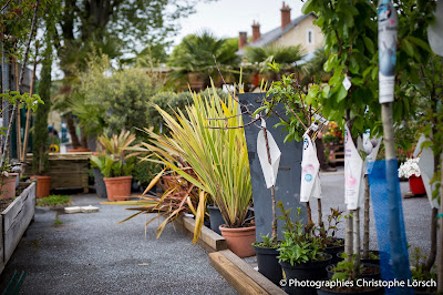 Jardinerie Suplisson à Coullons