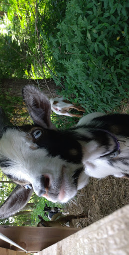 Tourist Attraction «Indiana Caverns», reviews and photos, 1267 Green Acres Dr SW, Corydon, IN 47112, USA