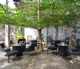 Bat and Arrow Cafe photo