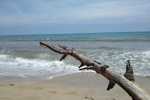 Playa Palomino image