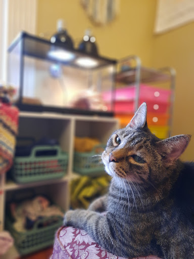 Pet Supply Store «PetSmart», reviews and photos, 3077 Daniels Rd, Winter Garden, FL 34787, USA