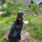 Photo n°3 de l'avis de Lisa.e fait le 30/05/2019 à 13:37 sur le  Landgasthof Düllhof à Schaufling