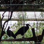 Photo n°3 de l'avis de Chris.a fait le 06/10/2022 à 14:00 sur le  Parc Gallorose à Loc. Cedrino