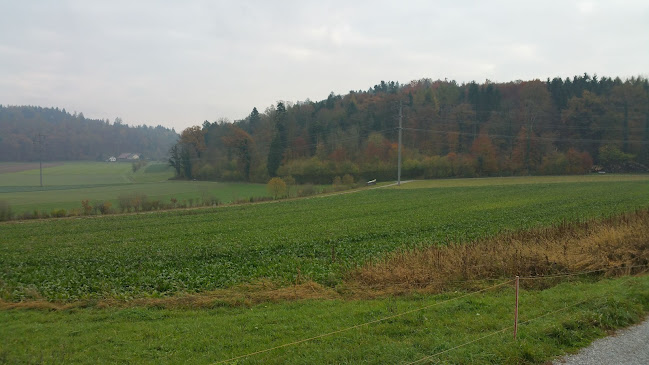 Kommentare und Rezensionen über Mooshof Lenzburg - Biobauernhof