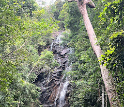 Than Sadet-Ko Pha-Ngan Sok National Park photo