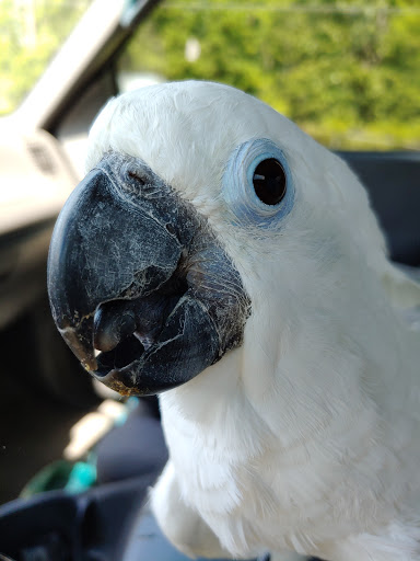 Pet Supply Store «Coastline Pet Supply», reviews and photos, 3530 Northgate Dr, Myrtle Beach, SC 29588, USA