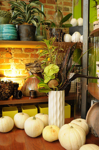 Florist «Babylon Floral», reviews and photos, 1223 E 17th Ave, Denver, CO 80218, USA