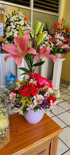 Florería Jazmín – Villa de Álvarez
