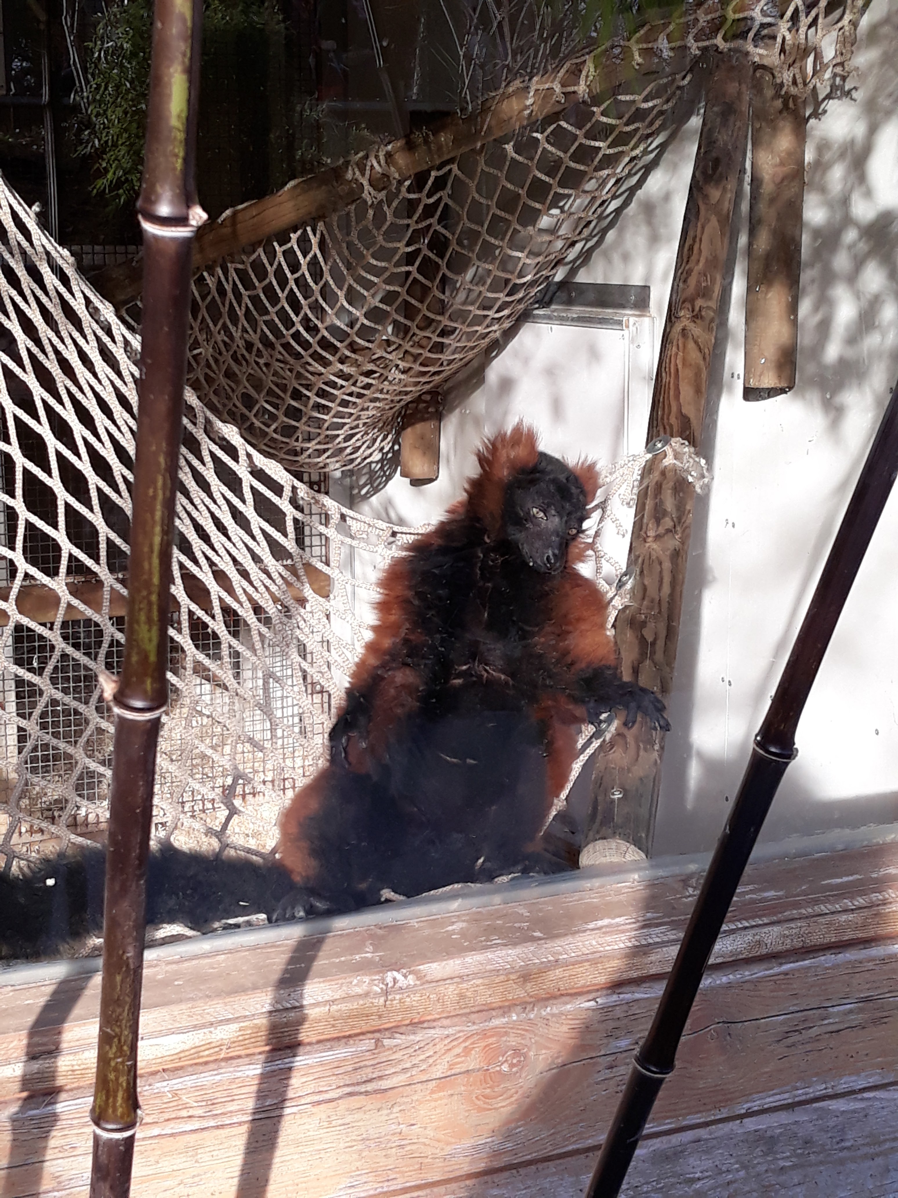 Photo n° 3 de l'avis de Priscillia.r fait le 18/02/2019 à 12:48