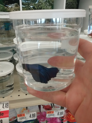 Pet Supply Store «Pet Supplies Plus», reviews and photos, 5555 Youngstown Warren Rd, Niles, OH 44446, USA