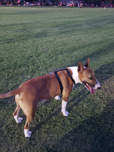 Recreation Center «Farmers Branch Comm Recreation», reviews and photos, 14050 Heartside Pl, Farmers Branch, TX 75234, USA