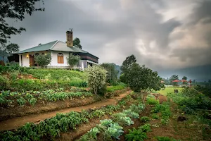 Madulkelle Tea and Eco Lodge image