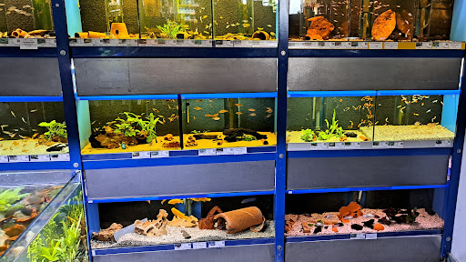TK-AQUARISTIK unter Melle, 