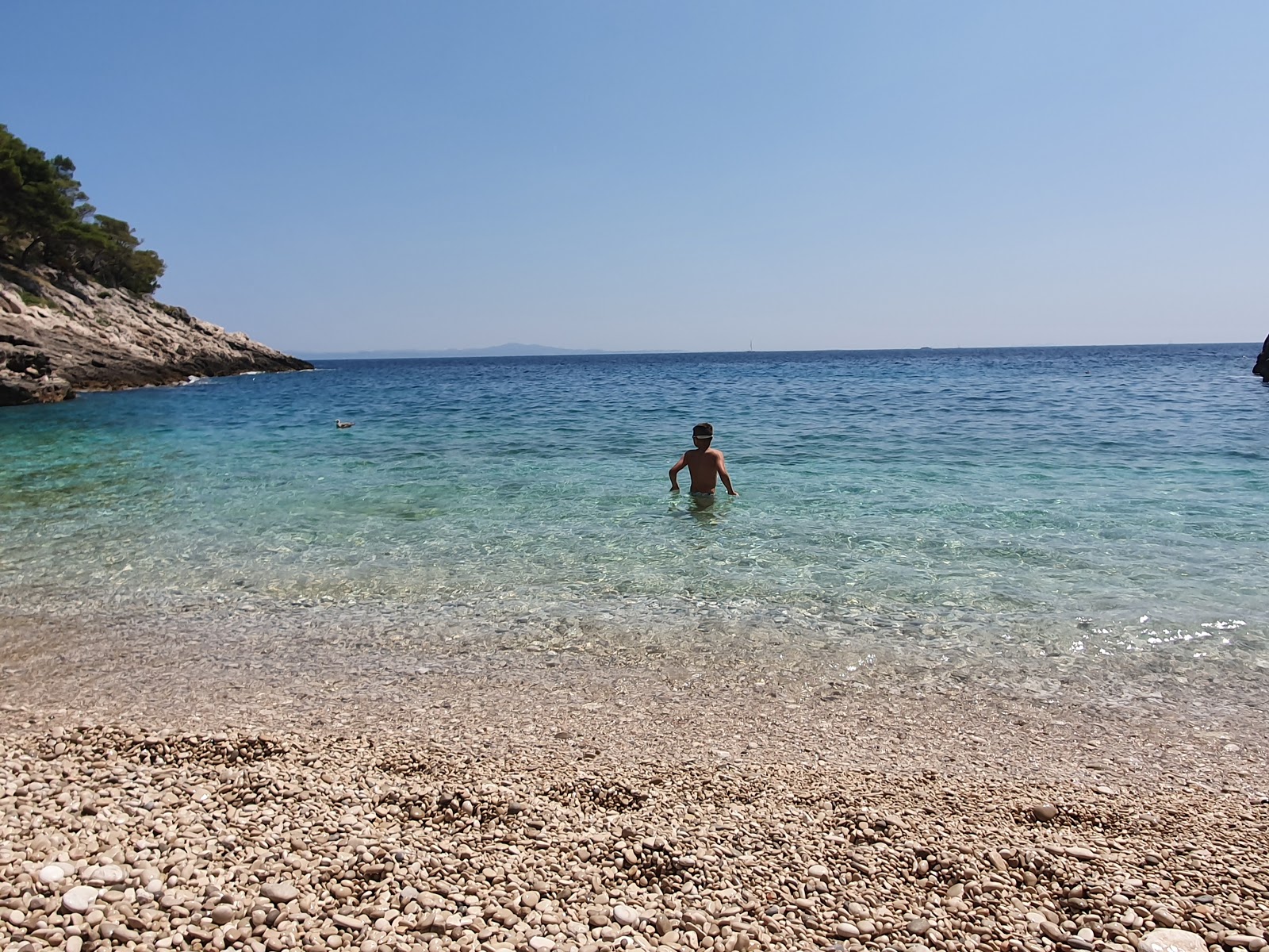 Foto av Lucisca bay beach beläget i naturområde