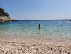 Lucisca bay beach'in fotoğrafı ve güzel manzarası