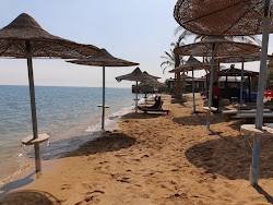 Photo de Red Carpet Beach avec un rivage spacieux