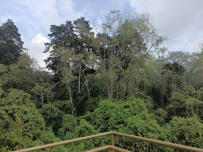 Parque Ambiental Río Loro
