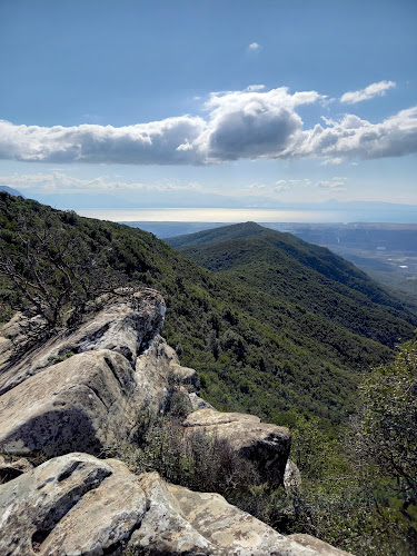 Comentarii opinii despre Αράκυνθος