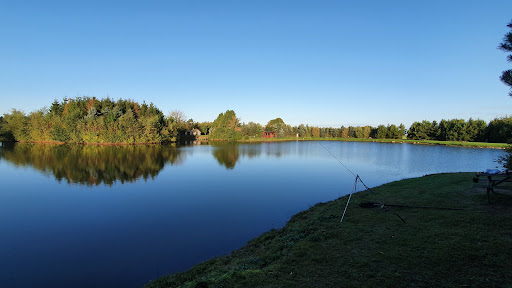 Bindslev Fiskepark in Bindslev, Hjørring