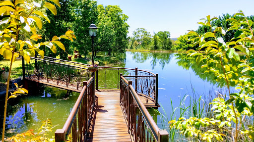 Florist «Cherry Lane Nursery», reviews and photos, 436 Traffic Way, Arroyo Grande, CA 93420, USA