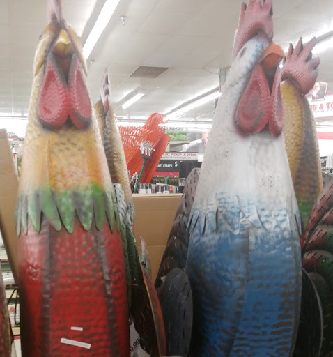 Home Improvement Store «Tractor Supply Co.», reviews and photos, 100 Dekalb Plaza Blvd, Fort Payne, AL 35967, USA