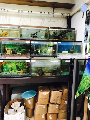 Tropical Fish Store «J B Tropical Fish», reviews and photos, 1950 N Black Horse Pike, Williamstown, NJ 08094, USA