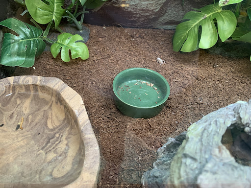 Pet Supply Store «Petco Animal Supplies», reviews and photos, 308 E Meighan Blvd, Gadsden, AL 35903, USA