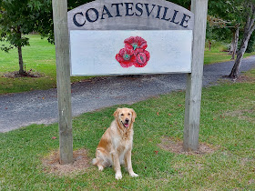 Coatesville Dog Training