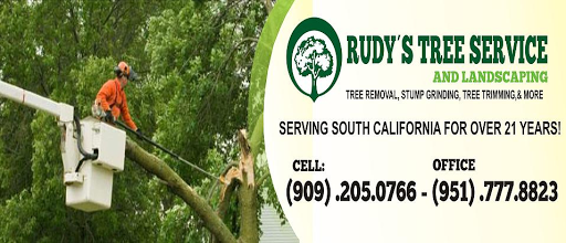 Rudy´s Tree Service