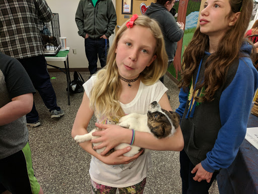 Animal Shelter «BrightSide Animal Center (formerly Humane Society of Redmond)», reviews and photos