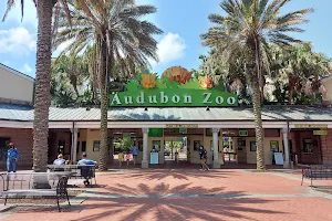 Audubon Zoo image