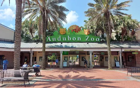 Audubon Zoo image