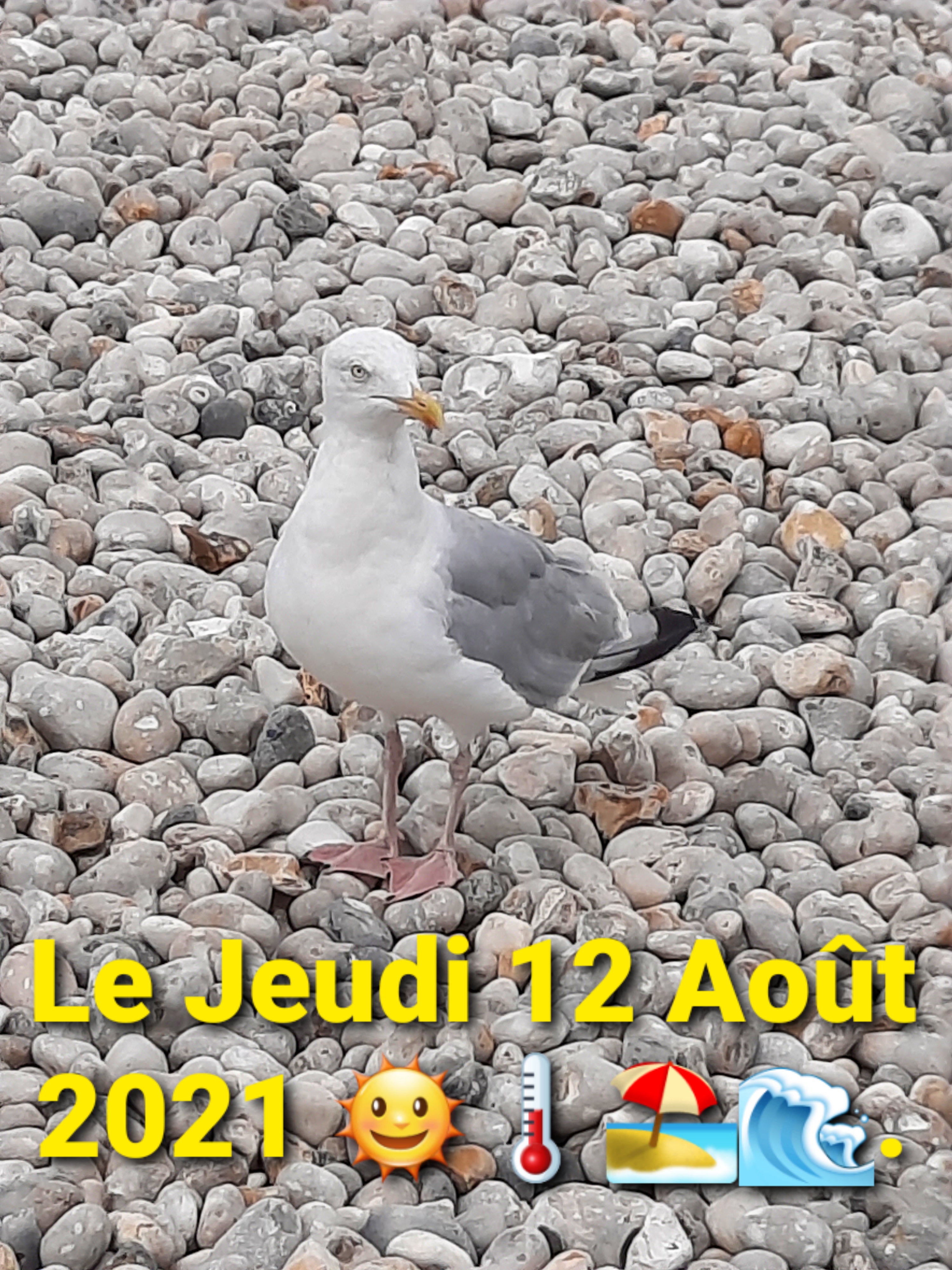 Photo n° 2 de l'avis de Angela.a fait le 12/08/2021 à 17:32