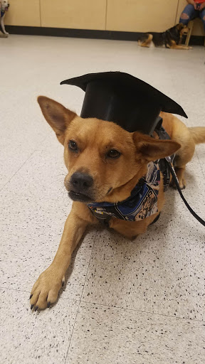 Pet Supply Store «PetSmart», reviews and photos, 2391 NJ-66, Ocean Township, NJ 07712, USA