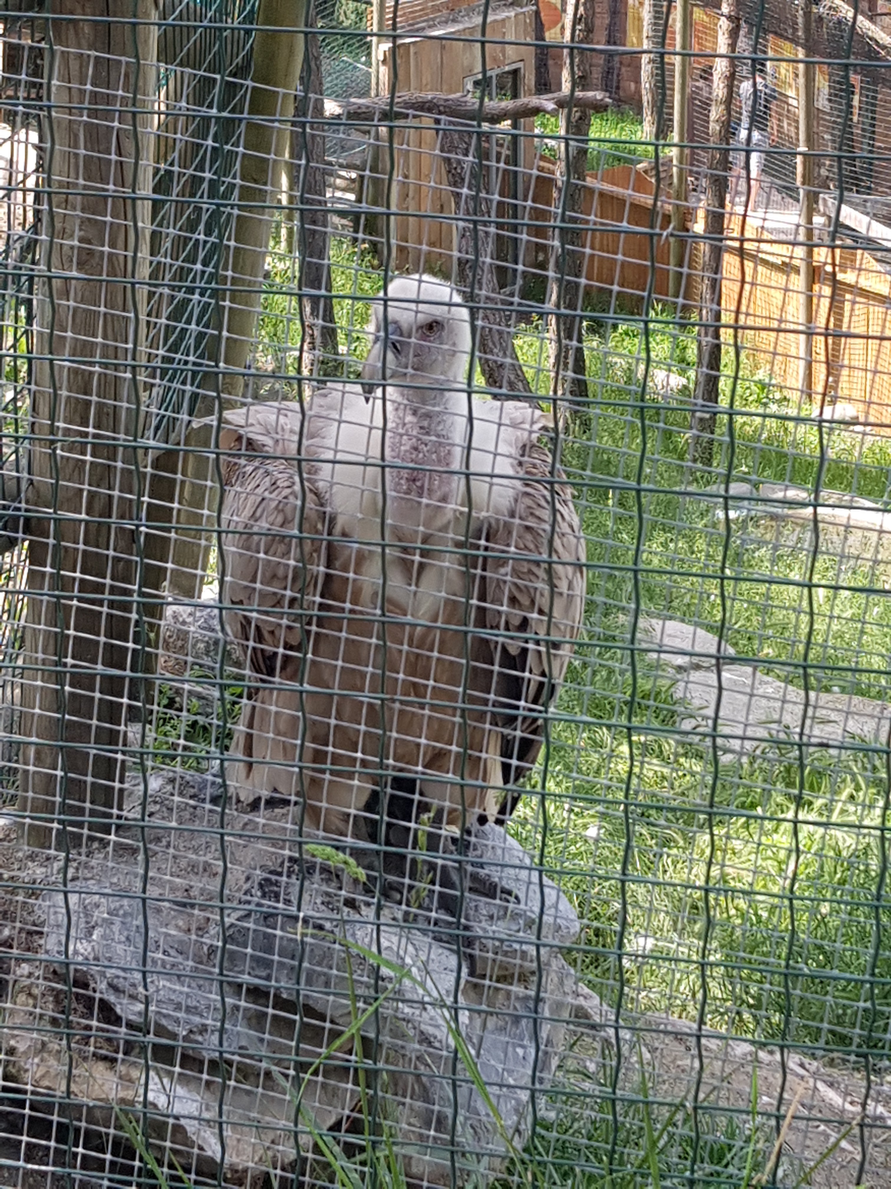 Photo n° 8 de l'avis de Lucien. fait le 12/06/2021 à 19:07