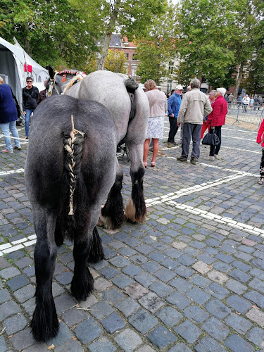 Beoordelingen van Parking Sint-Jacob in Leuven - Parkeergarage