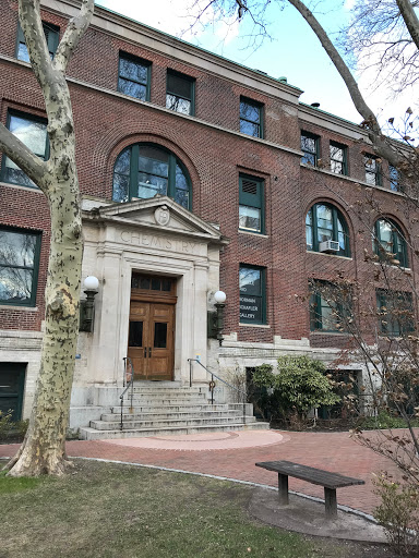 Private University «Pratt Institute», reviews and photos