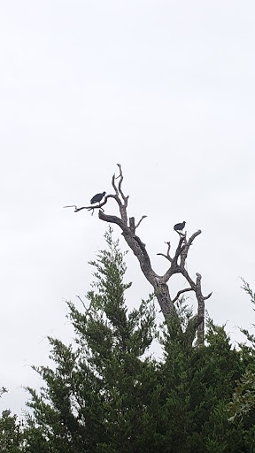 Park «Bob Jones Park», reviews and photos, 3901 N White Chapel Blvd, Southlake, TX 76092, USA