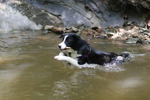 Park «Double Rock Park», reviews and photos, 8211 Glen Rd, Parkville, MD 21234, USA