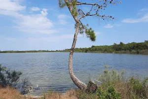 Lago di Spina image