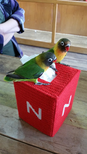 Pet Store «Plattsmouth Pets», reviews and photos, 430 Main St, Plattsmouth, NE 68048, USA