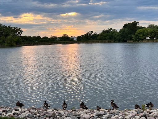 Park «Prairie Park», reviews and photos, 431 Knollwood Dr, Barrington, IL 60010, USA