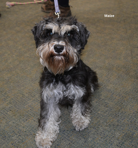 Pet Supply Store «The Natural Pet Enrichment Center», reviews and photos, 6720 Royalton Rd, North Royalton, OH 44133, USA