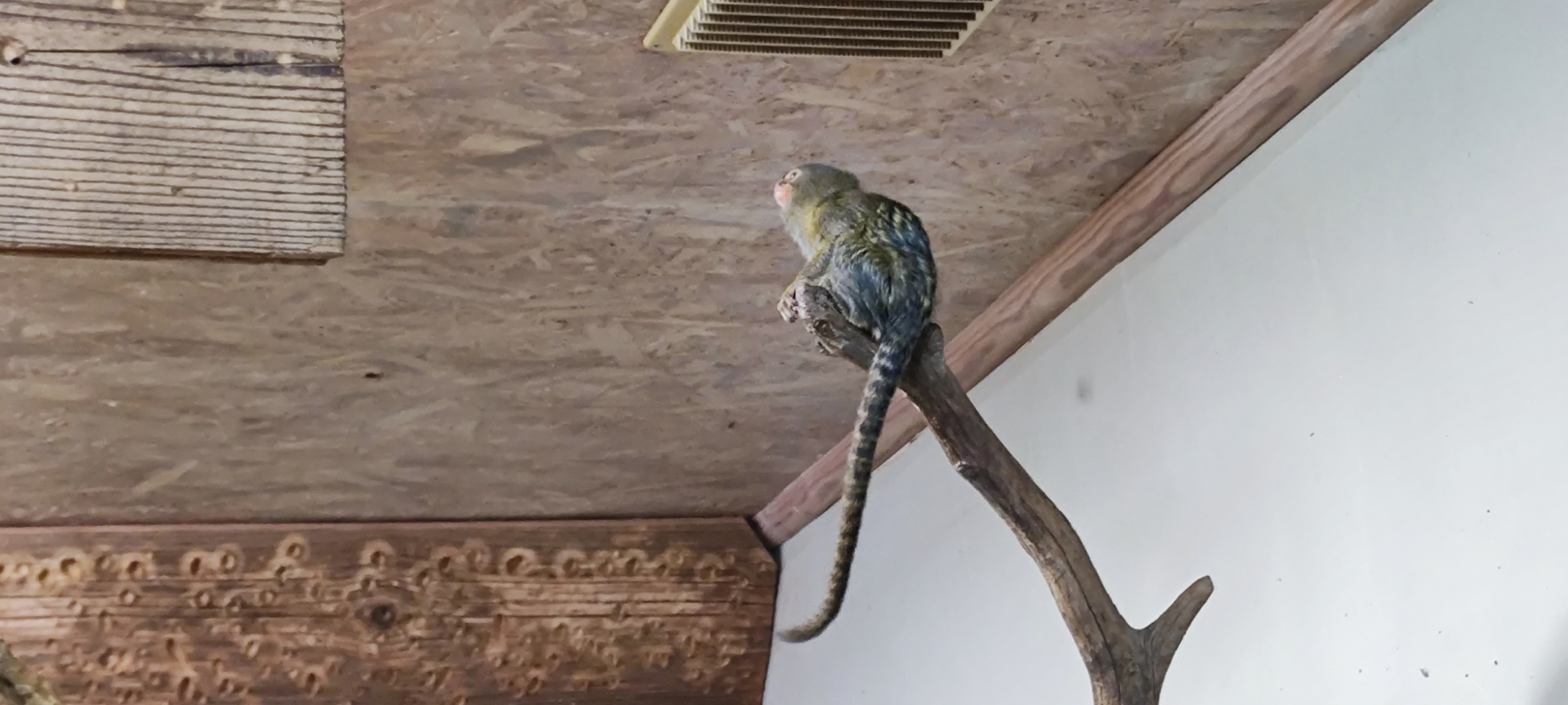 Photo n° 5 de l'avis de Gary.e fait le 02/09/2023 à 13:07