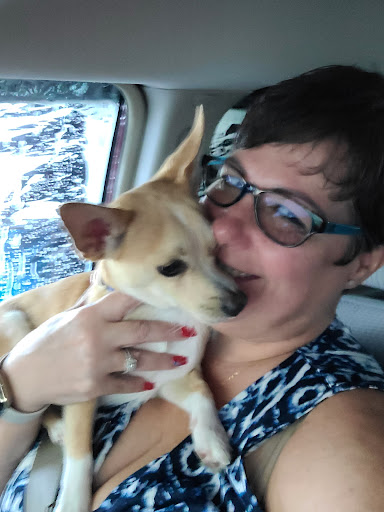 Veterinarian «PetCoral Resort and Veterinary», reviews and photos, 924 Del Prado Blvd, Cape Coral, FL 33990, USA