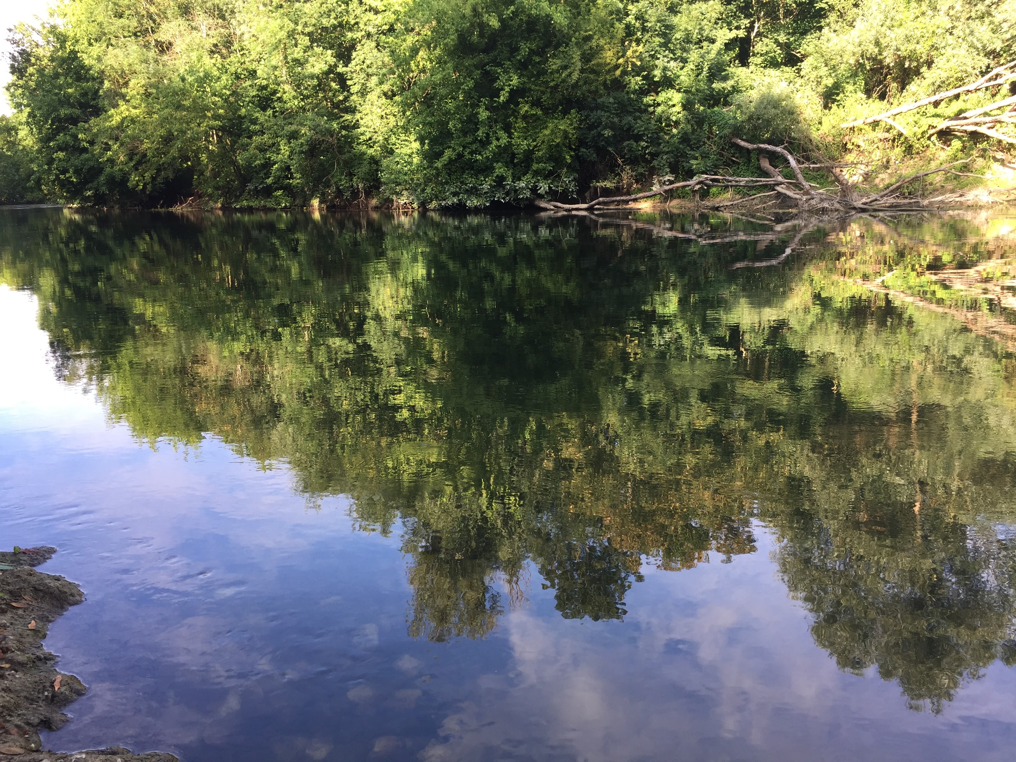 Photo n° 4 de l'avis de Mariam.o fait le 28/07/2018 à 15:09