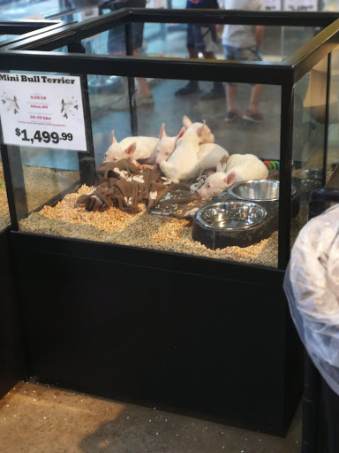 Pet Store «Critter Cabana - Wilsonville», reviews and photos, 8406 SW Main St #200, Wilsonville, OR 97070, USA